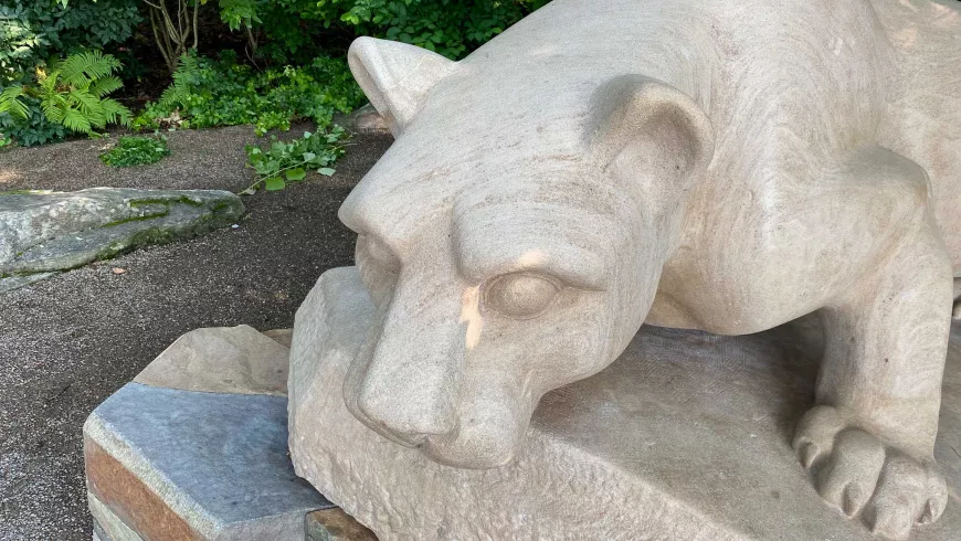 The head and the face of the Nittany Lion shrine are shown from above.
