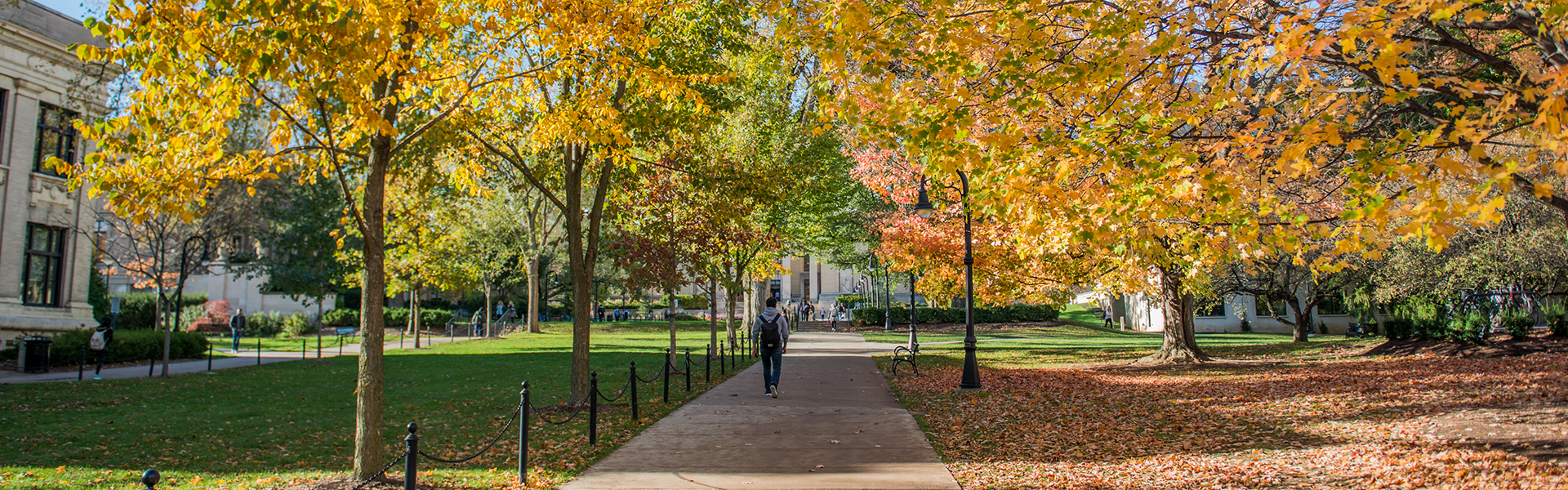 penn-state-world-campus-career-series-what-does-a-project-manager-do