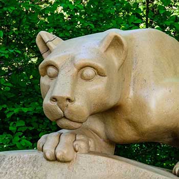 Closeup of the Lion Shrine's head and shoulders.